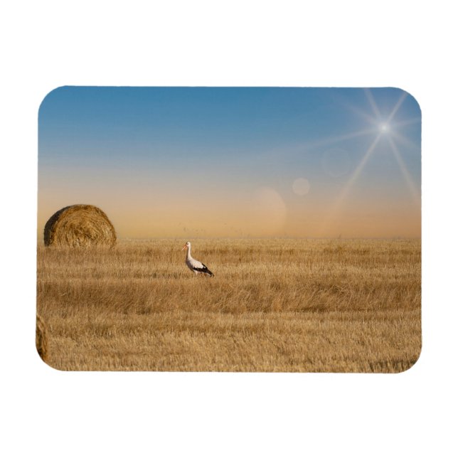 Magnet Flexible Une cigogne blanche  (Horizontal)