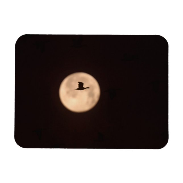 Magnet Flexible Une Oie De Neige Contre Une Pleine lune | Nouveau- (Horizontal)