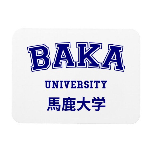 MAGNET FLEXIBLE UNIVERSITÉ DE BAKA (Horizontal)
