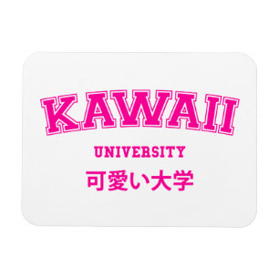 MAGNET FLEXIBLE UNIVERSITÉ DE KAWAII