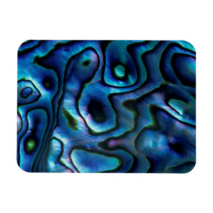 Magnet Flexible USA, Colorado, Lafayette. Coquille d'aluminium