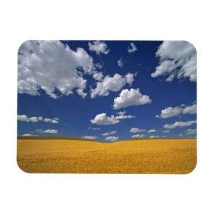 Magnet Flexible USA, Etat de Washington, Colfax. Réunion d'orge mû