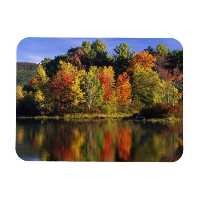 Magnet Flexible USA, New Hampshire, Moultonborough. Arbres dans (Horizontal)