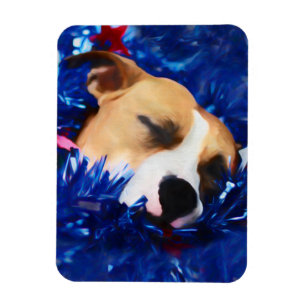 Magnet Flexible USA Patriotique Chien American Pit Bull Terrier