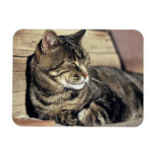 Magnet Flexible USA, Utah, Capitol Reef NP. Tablette dormante