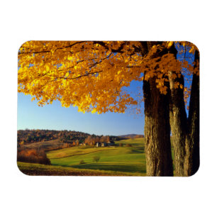 Magnet Flexible USA, Vermont. Ferme Pittoresque près de South Wood