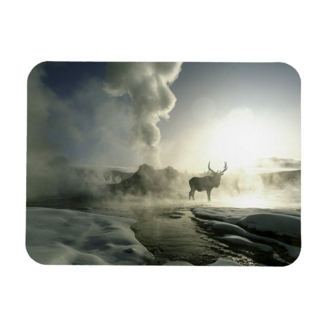 Magnet Flexible USA, Wyoming, Parc National de Yellowstone. Soleil (Horizontal)