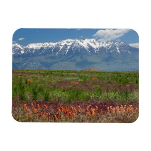 Magnet Flexible Utah, États-Unis. Le mont Timpanogos s'élève au-de