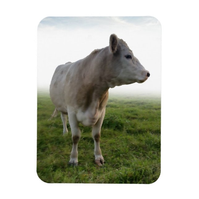 MAGNET FLEXIBLE VACHE (Vertical)