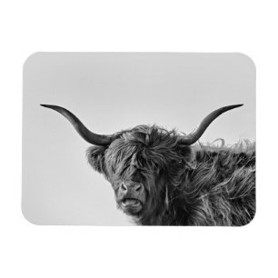 Magnet Flexible Vache des hautes terres robuste en monochrome