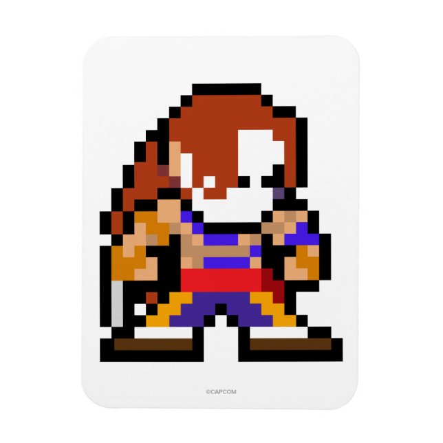 Magnet Flexible Vega 8 bits (Vertical)
