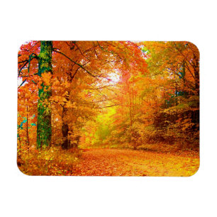 Magnet Flexible Vermont Autumn Nature Paysage