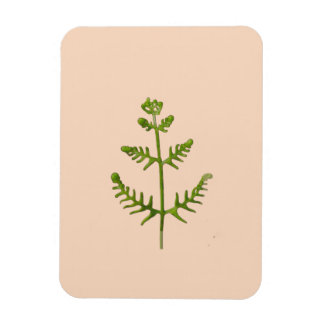 Magnet Flexible vert de printemps