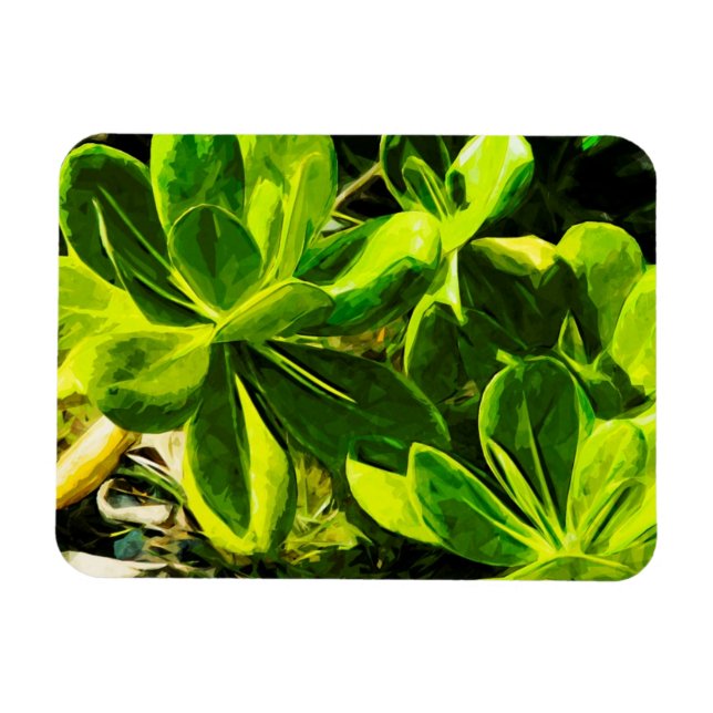 Magnet Flexible Vert Succulent Ocean Beach Plante Abstrait (Horizontal)