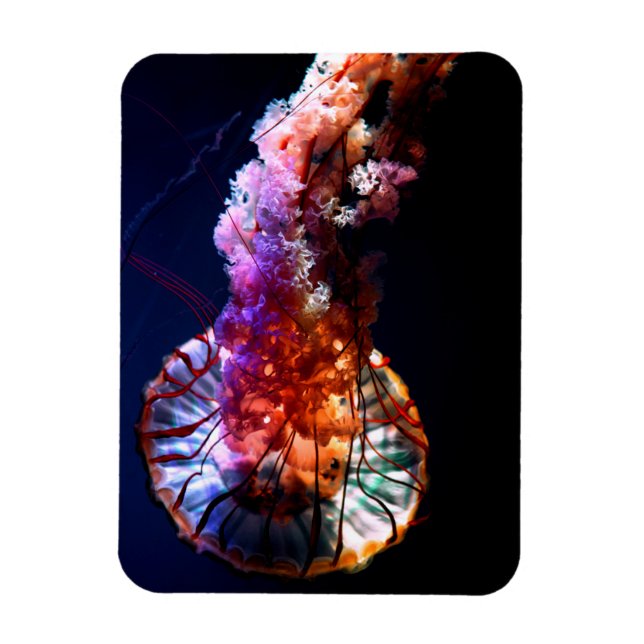 Magnet Flexible Vibrant méduse sous-marine tropicale (Vertical)