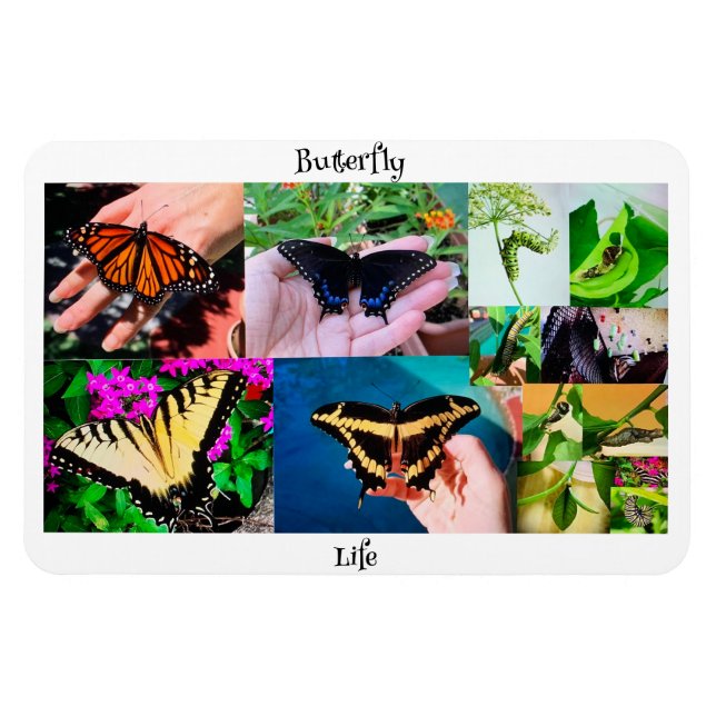 Magnet Flexible Vie papillon (Horizontal)