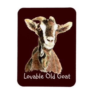 Magnet Flexible Vieille chèvre aimable mignonne, humour d'animal