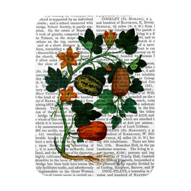 Magnet Flexible Vigne de squash 1 (Vertical)