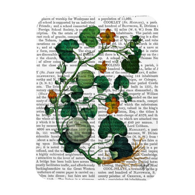 Magnet Flexible Vigne de squash 2 (Vertical)