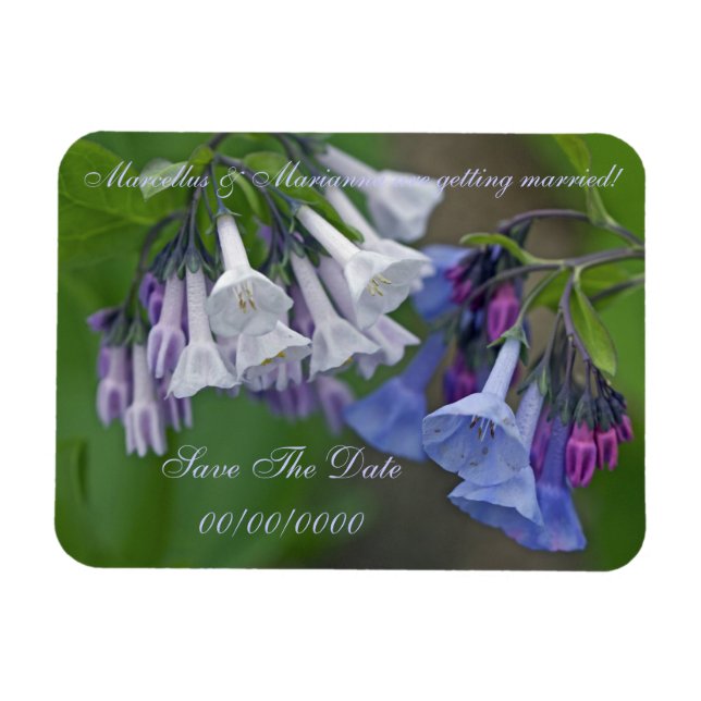 Magnet Flexible Virginia Bluebells Fleurs sauvages - Enregistrer L (Horizontal)