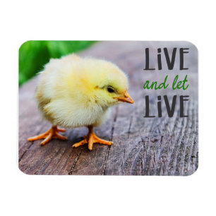 Magnet Flexible "Vis et laisse vivre" vegan