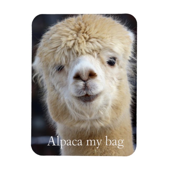Magnet Flexible Visage d'alpaca mignon (Vertical)
