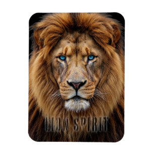 Magnet Flexible Visage de lion majestueux aux yeux bleus Faune A