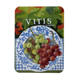 Magnet Flexible Vitus