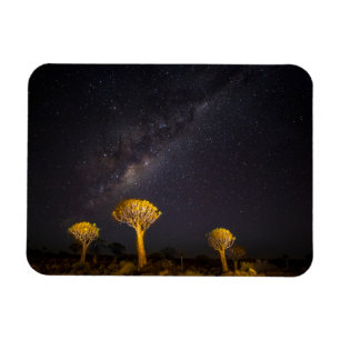 Magnet Flexible Voie lactée Quiver Tree   Keetmanshoop Namibie