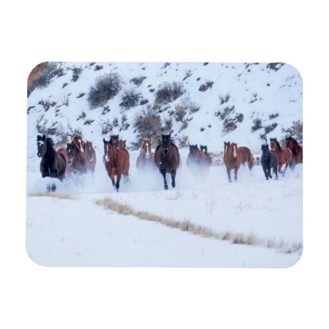 Magnet Flexible Voiture Cowboy | Hideout Ranch Shell, Wyoming (Horizontal)