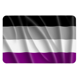 Magnet Flexible VOL DE DRAPEAU ASEXUEL -.png