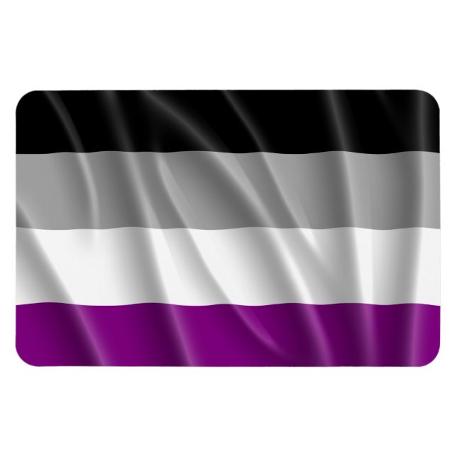 Magnet Flexible VOL DE DRAPEAU ASEXUEL -.png (Horizontal)