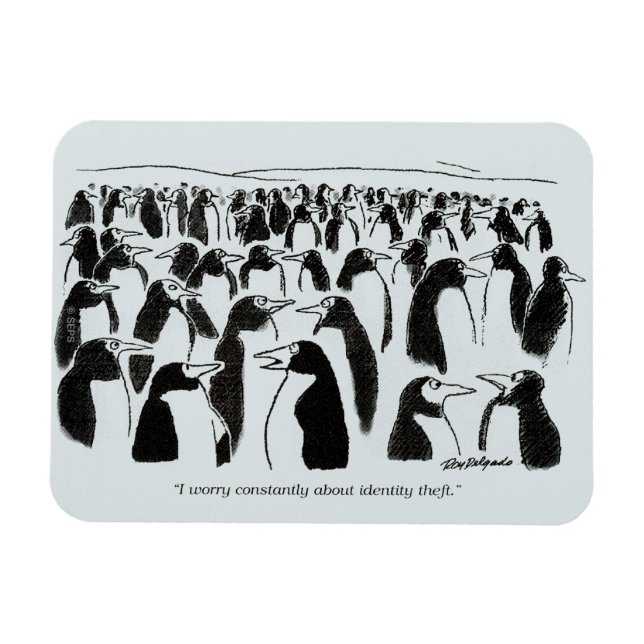 Magnet Flexible Vol d'identité (Horizontal)