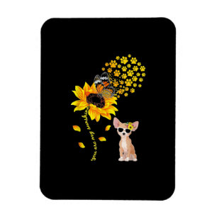 Magnet Flexible Vous Êtes Mon Sunshine Tournesol Chihuahua Hommes