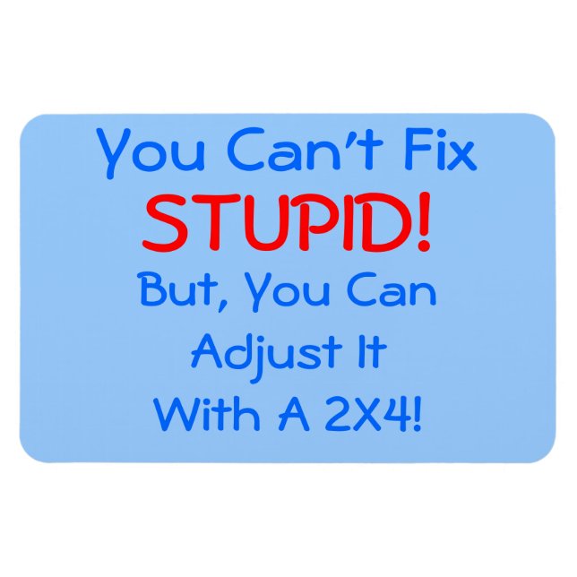 Magnet Flexible Vous ne pouvez pas réparer STUPID !, mais vous pou (Horizontal)