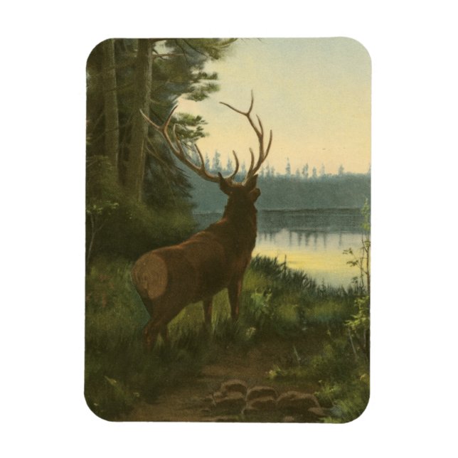 Magnet Flexible Vue arrière du lac Elk Vue sur un lac (Vertical)
