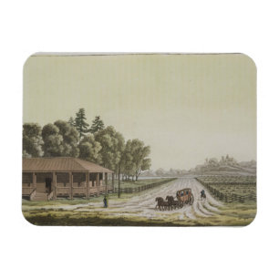 Magnet Flexible Vue de Capitol Hill, Washington (gravure de