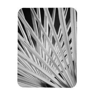 Magnet Flexible Vue noir et blanc des frondes de palmiers