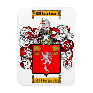 Magnet Flexible Whalen