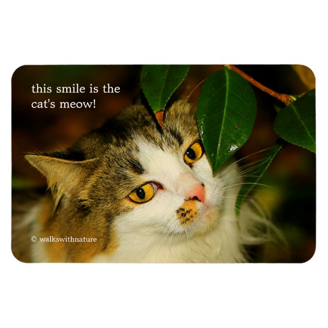 Magnet Flexible Whimsical Le Chat et la Camellia (Horizontal)
