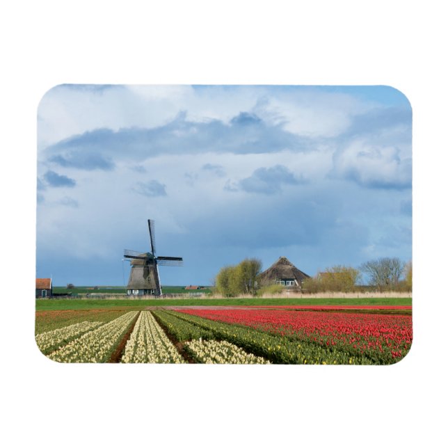 Magnet Flexible Windmill et tulipes paysage aimant rectangulaire (Horizontal)