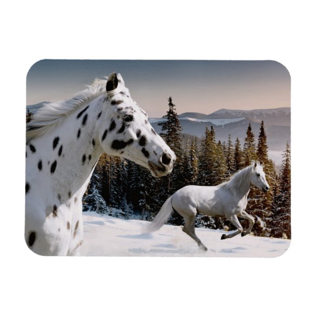 Magnet Flexible Winter Wonderland (Horizontal)