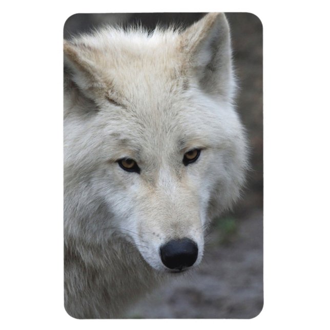 Magnet Flexible Wolf 001 (Vertical)