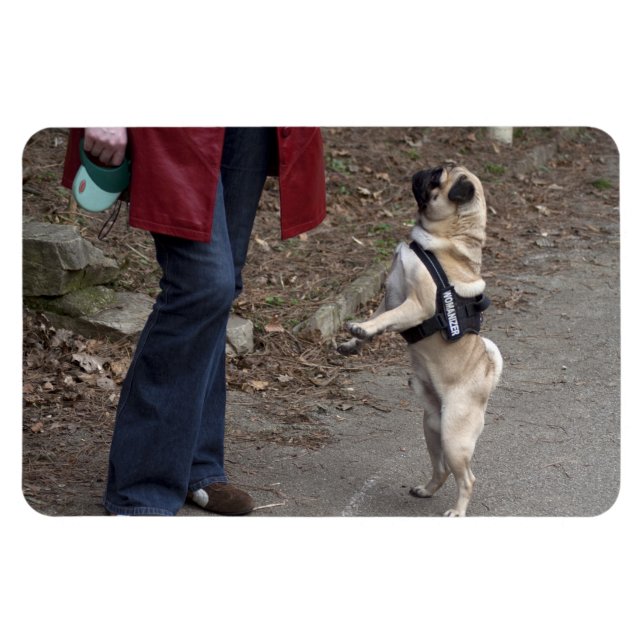 Magnet Flexible Womanizer (Horizontal)