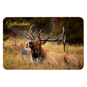 Magnet Flexible Yellowstone Magnet-Elk