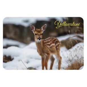 Magnet Flexible Yellowstone Magnet-Fawn Deer