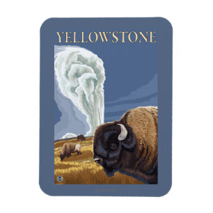 Magnet Flexible YellowstoneBison avec vieux fidèle
