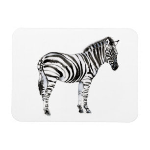 Magnet Flexible Zebra