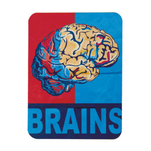 Magnet Flexible Zombie Brain