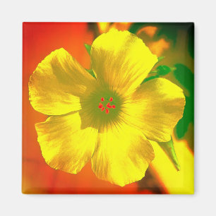 Magnet FLOWER STYLE AND DESIGN  DECORATION